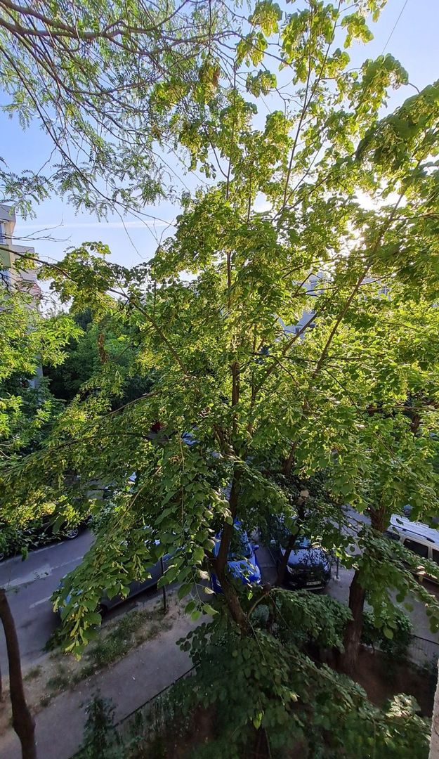 Apartament Mobilat la Cerere | Baneasa | Herastrau - Poză 9