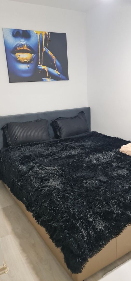 Inchiriez Ap 2 cam . Lujerului . Proprietar - Poză 5