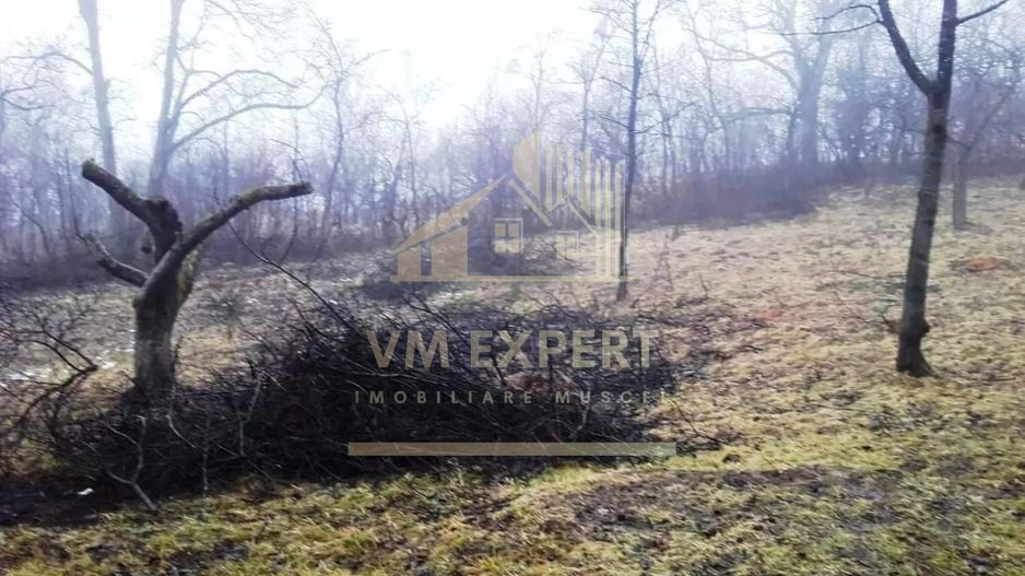 TEREN INTRAVILAN 3270 MP, CAMPULUNG - Poză 3