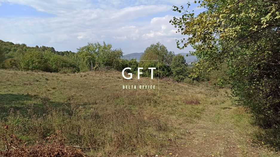 Teren  42,200 mp (4,22 hectare)-Parcelabil-investitie-Valea Jelnei - Poză 5