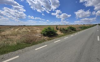 Oportunitate de investiție Teren 8.333 mp cu deschidere la șosea - Poză 2