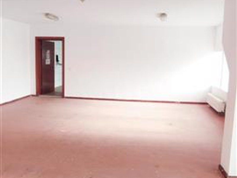 hale in parcul Roman sau tractorul - Poză 8