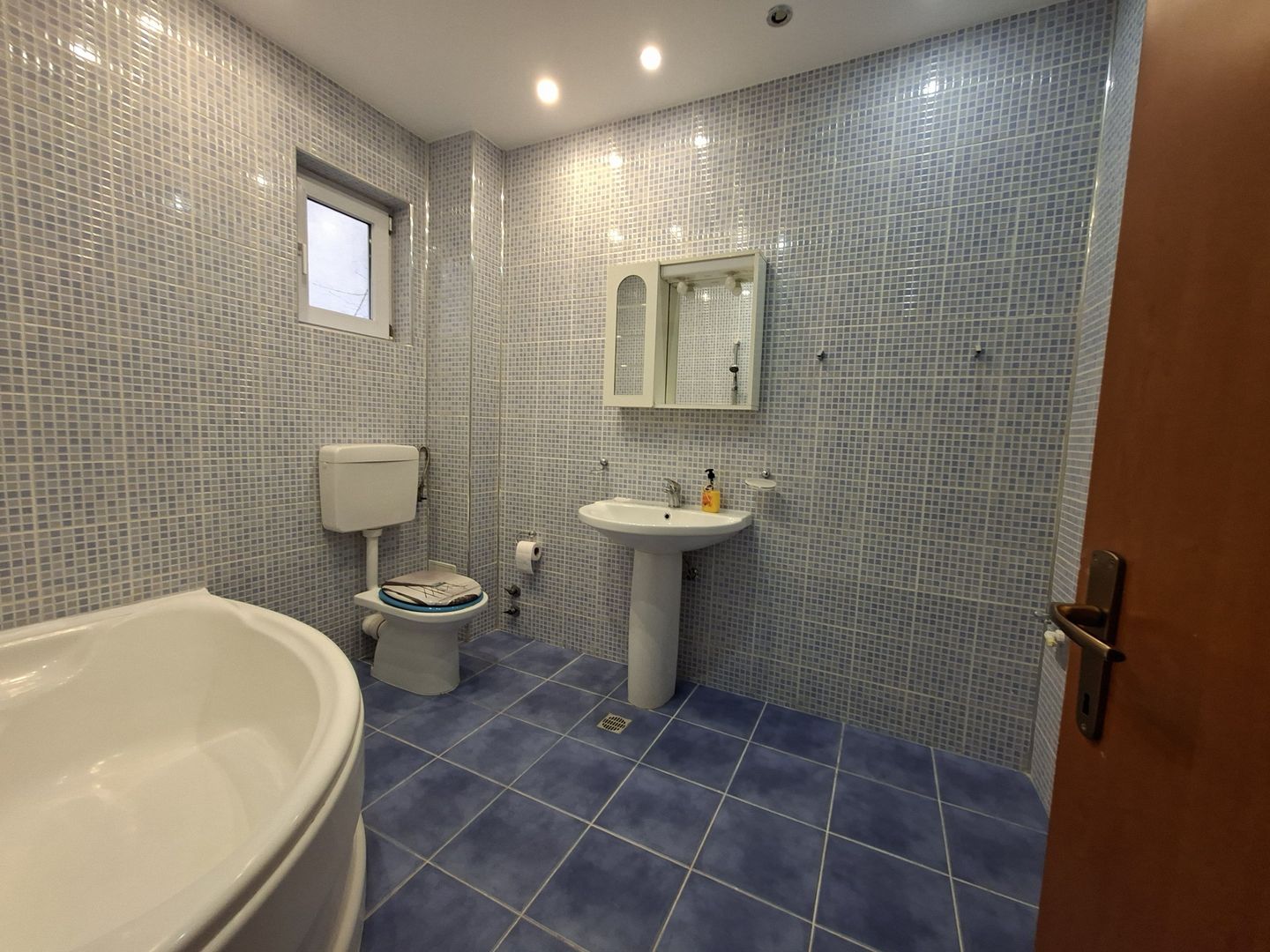 Vilă luminoasă I Gradina mare si loc de joacă privat I Iancu Nicolae - Poză 27