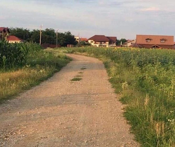 Teren de vanzare | Ciofliceni | Utilitati - Poză 3