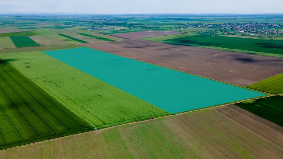 Teren de 5Ha în Satchinez. - Poză 1