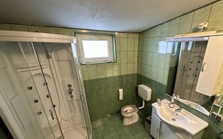 Casa individuala | 220 MPU | Gradina | Curte | Cisnadie - Poză 5