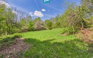 Proprietate rară cu 24.270 mp, în Măgulicea, Arad! - Poză 45