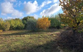 Terenuri intravilane în Horlești-Rediu, Iași, zone rezidențiale - Poză 3