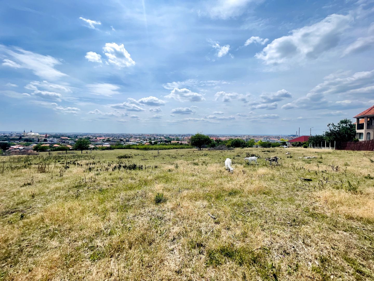 Teren intravilan – Dealuri Oradea - Poză 2