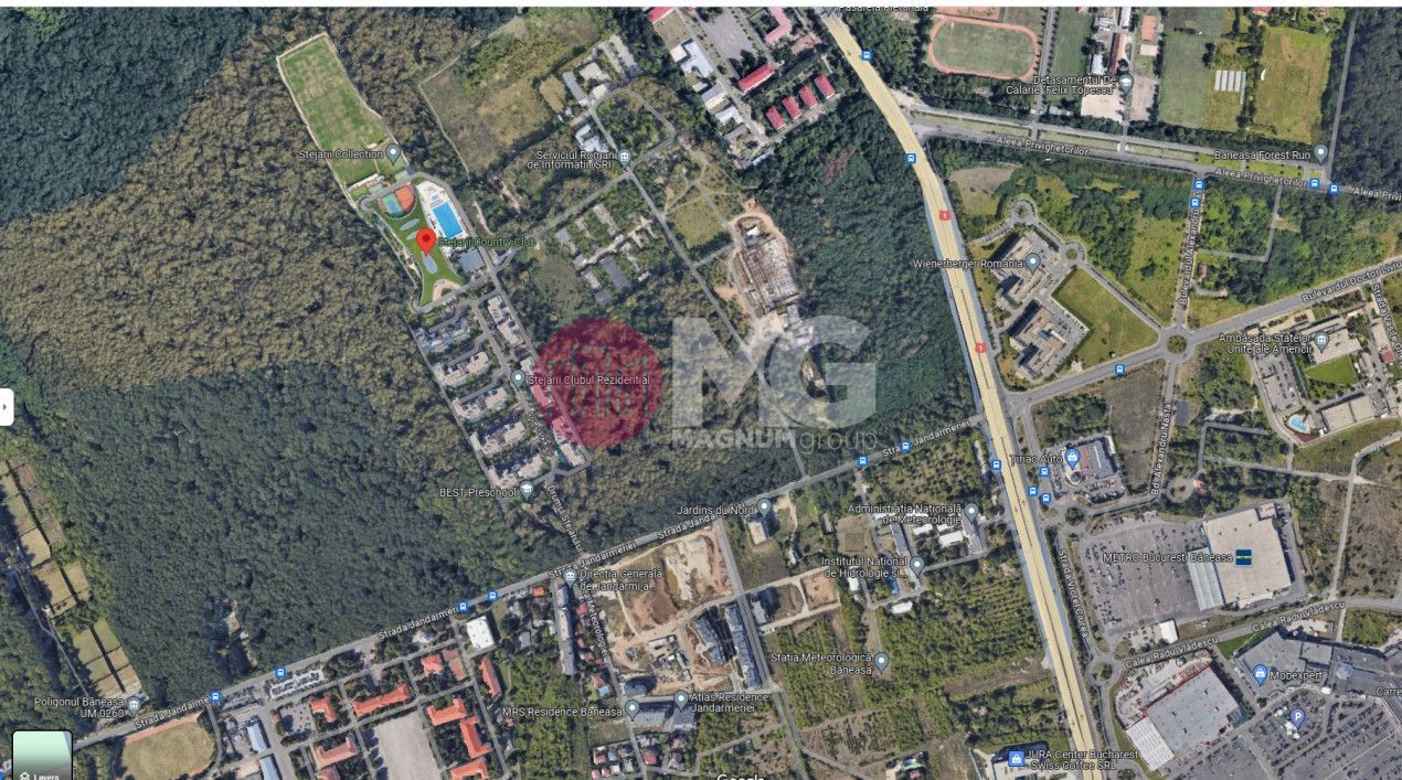 Padure de vanzare - Jandarmeriei - Poză 2