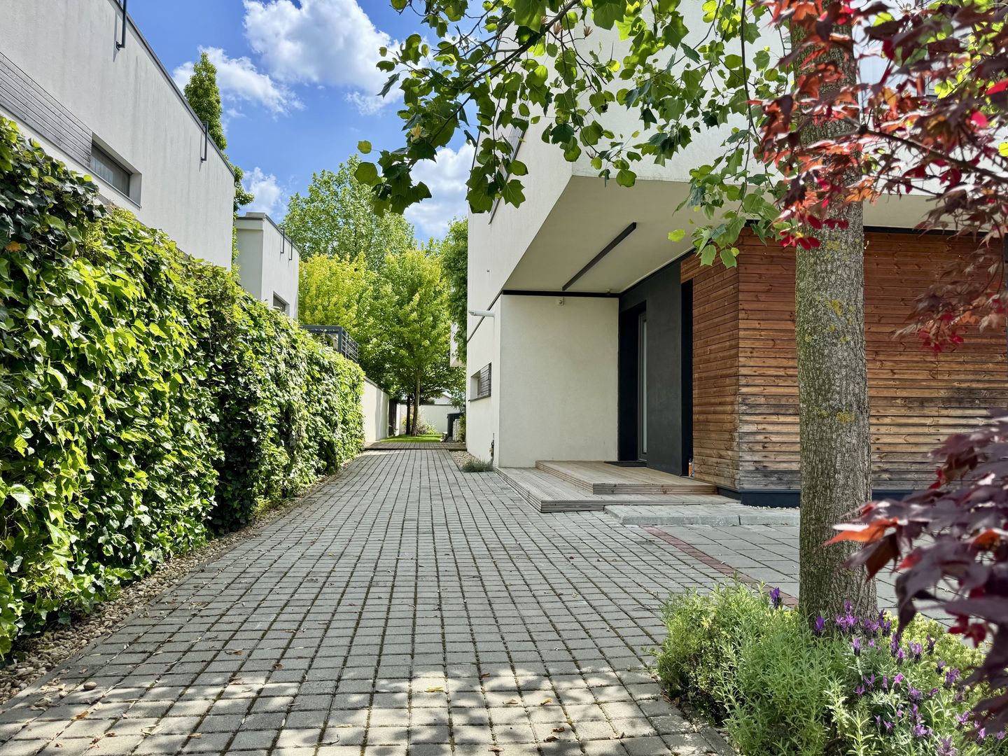 Duplex mobilat si utilat 3dormitoare Dumbrăvița 510mp teren - Poză 7