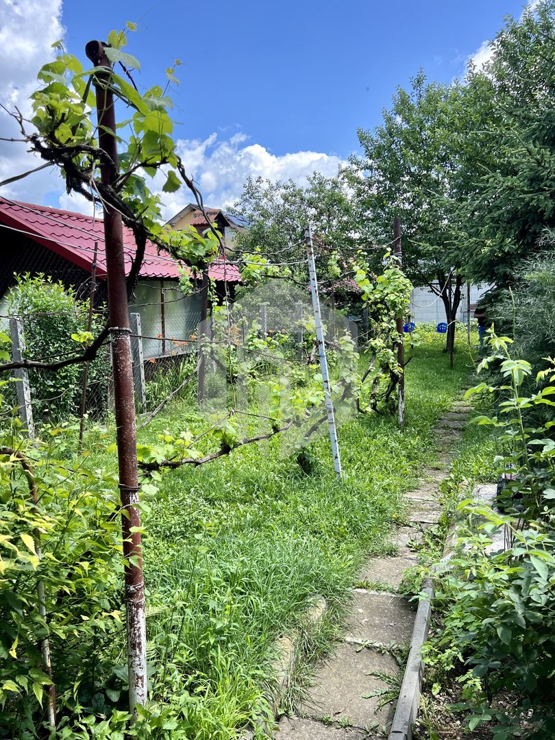 Casa curte comuna in zona Milea- Teren 300 mp - Poză 6