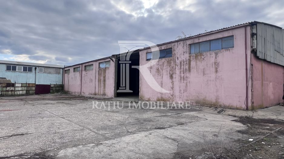 PLATFORMĂ INDUSTRIALĂ STRATEGICĂ ÎN ORADEA –  POTENȚIAL OPERATIONAL - Poză 8