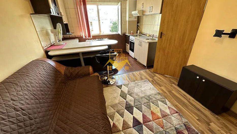 2 camere open space, Marasti, Zona OMV, Mega Image, Pet friendly - Poză 2