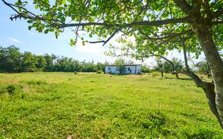 Teren Intravilan 1100 mp + Anexă 120 mp - Budeasa, Calotesti! - Poză 7