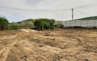 Teren de 1480 mp de vanzare in localitatea Vladiceni - Poză 3