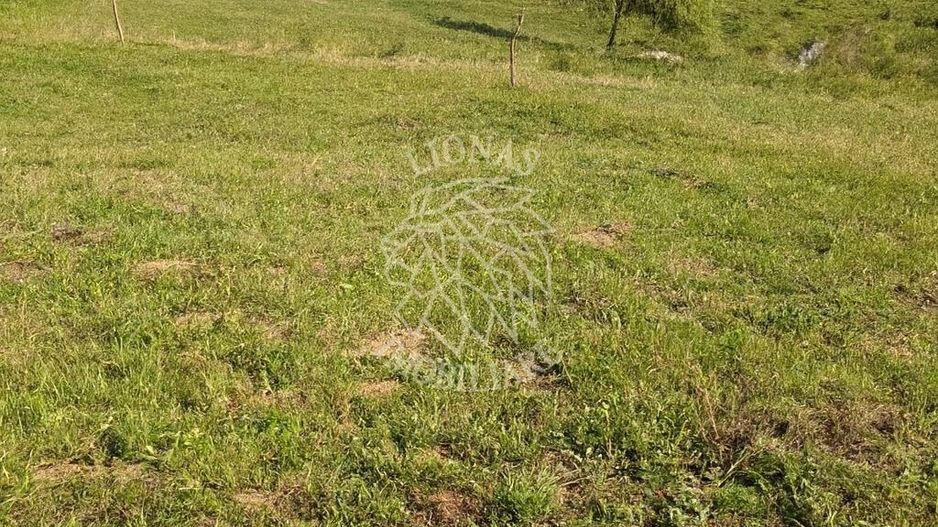 Teren intravilan 500 mp cu utilitati-ideal cabana, investitie-Colibita - Poză 3