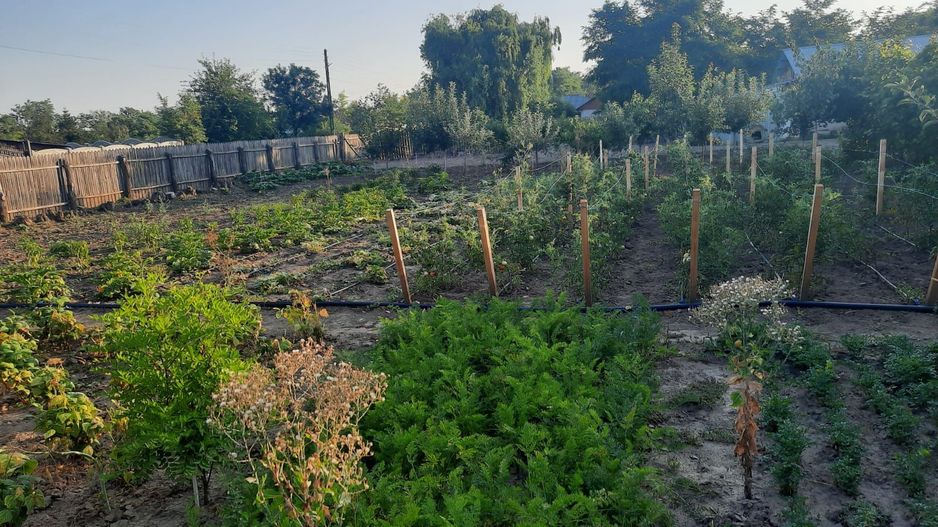 Casa Parter+Pod 90 mp+anexa 60 mp + atelier + teren intravilan 1600 mp - Poză 35