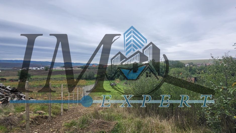 TEREN INTRAVILAN DE VANZARE IN CUT - Poză 3