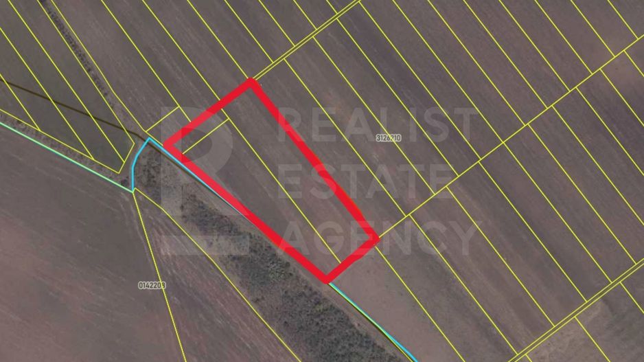 Vânzare, teren agricol, 161 ari, satul Dolinnoe, Criuleni - Poză 2