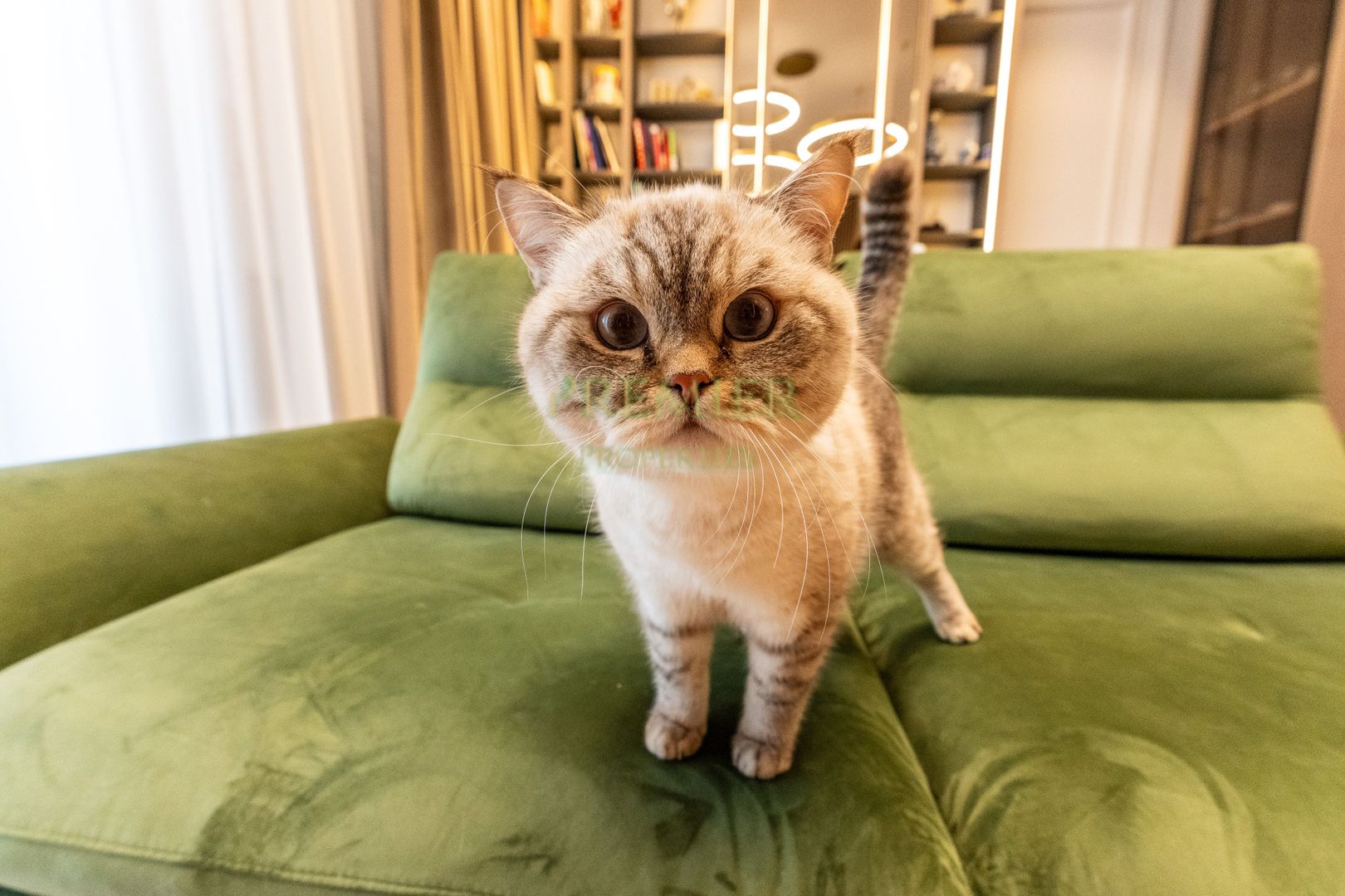 Apartament 2 camere de lux One Verdi Park complet mobilat loc parcare inclus - Poză 24