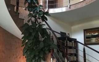 Vila spatioasa cu teren generos, Alba-Micesti - Poză 3