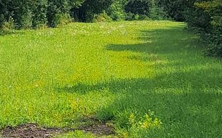 Teren Intravilan | 1500 MPU | Tocile, Comuna Sadu - Poză 8