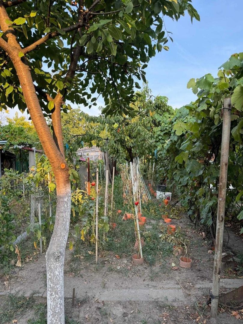 Casa de vânzare în zona Calea Sagului - Poză 7