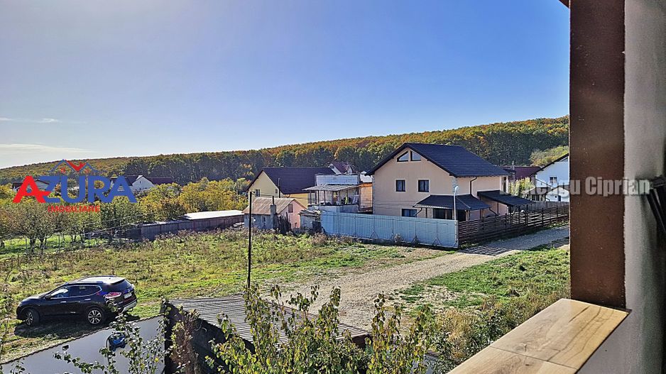 AZURA Imobiliare - 2 Case, 1 Camin - Smeura 250 m din DN zona Hintesti - Poză 15
