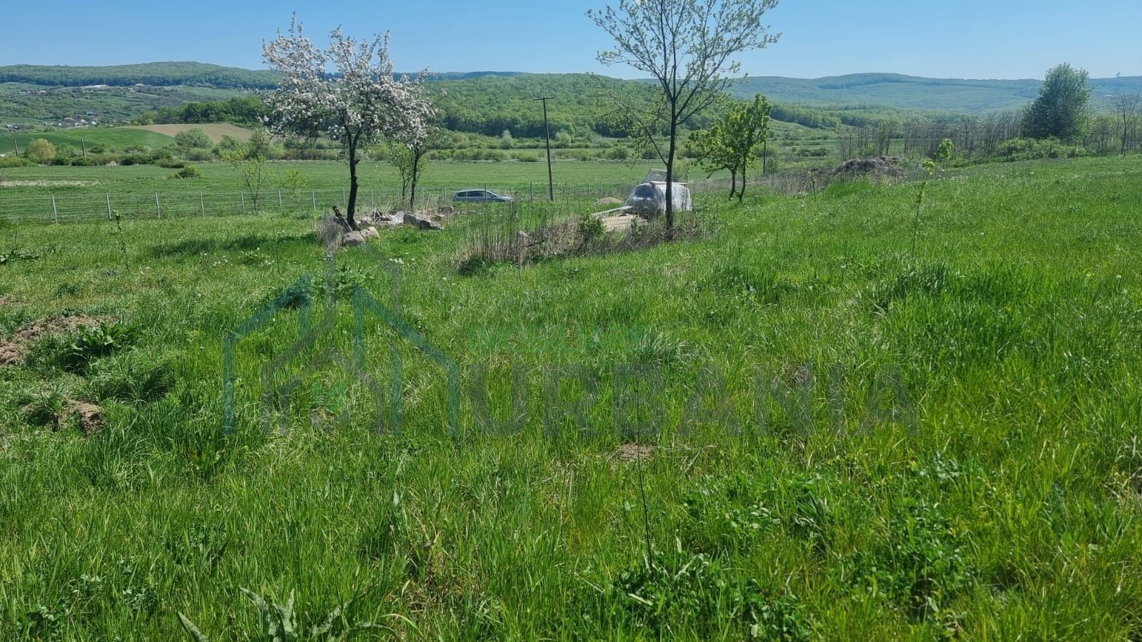 Teren de 1000 mp în Comuna Ciurea, Iași – Oportunitate de Investiție - Poză 2