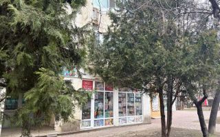 Spațiu comercial de închiriat, 28 mp, Parcul Esplanada Nicolina, Iași - Poză 1