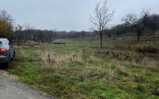 ⭐  Teren de 2.700 mp cu front generos – Ocazie în Oncea - Poză 2