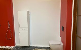 Vila Remetea Mare mobilata si utilata - Poză 9