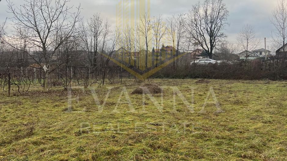 De vanzare 9 ari, intravilan -Tautii de Sus. - Poză 3