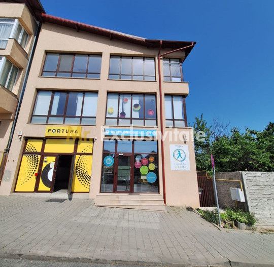 Spatiu Comercial Multifunctional Banat-CLASA A - Poză 15