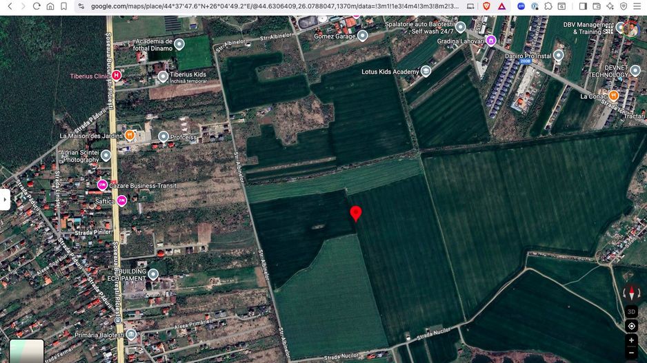 Teren extravilan 18.200 mp Saftica Balotesti - Poză 2