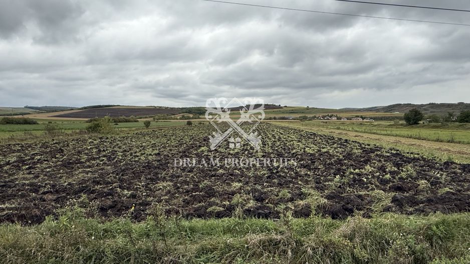 Oportunitate investiție! Teren intravilan, 9300 mp, front la DN, Iclod - Poză 2