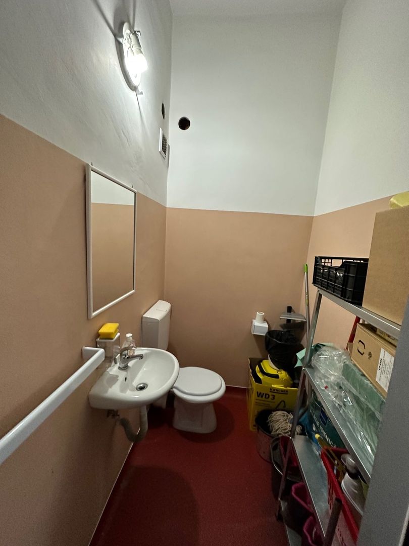 Casa individuala zona Drubeta teren 982 mp - Poză 17