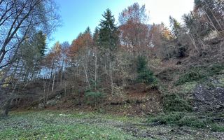 Teren 2.882 mp – oportunitate investitie - Cheile Dâmbovicioarei - Poză 6