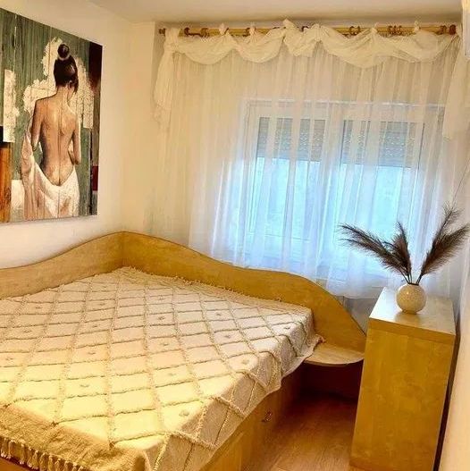 Apartament 2 camere de vanzare Aviatiei Serbanescu - Poză 2