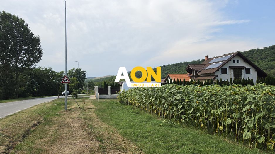 Teren intravilan, 2800 mp, la asfalt,cu utilitati, Hapria, com. Ciugud - Poză 1