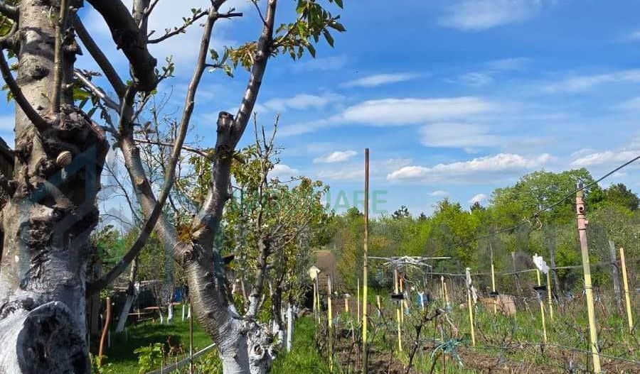 Teren intravilan 1500 mp, Tomesti – Chicerea, 10 km de Iasi, utilitati la limita - Poză 6