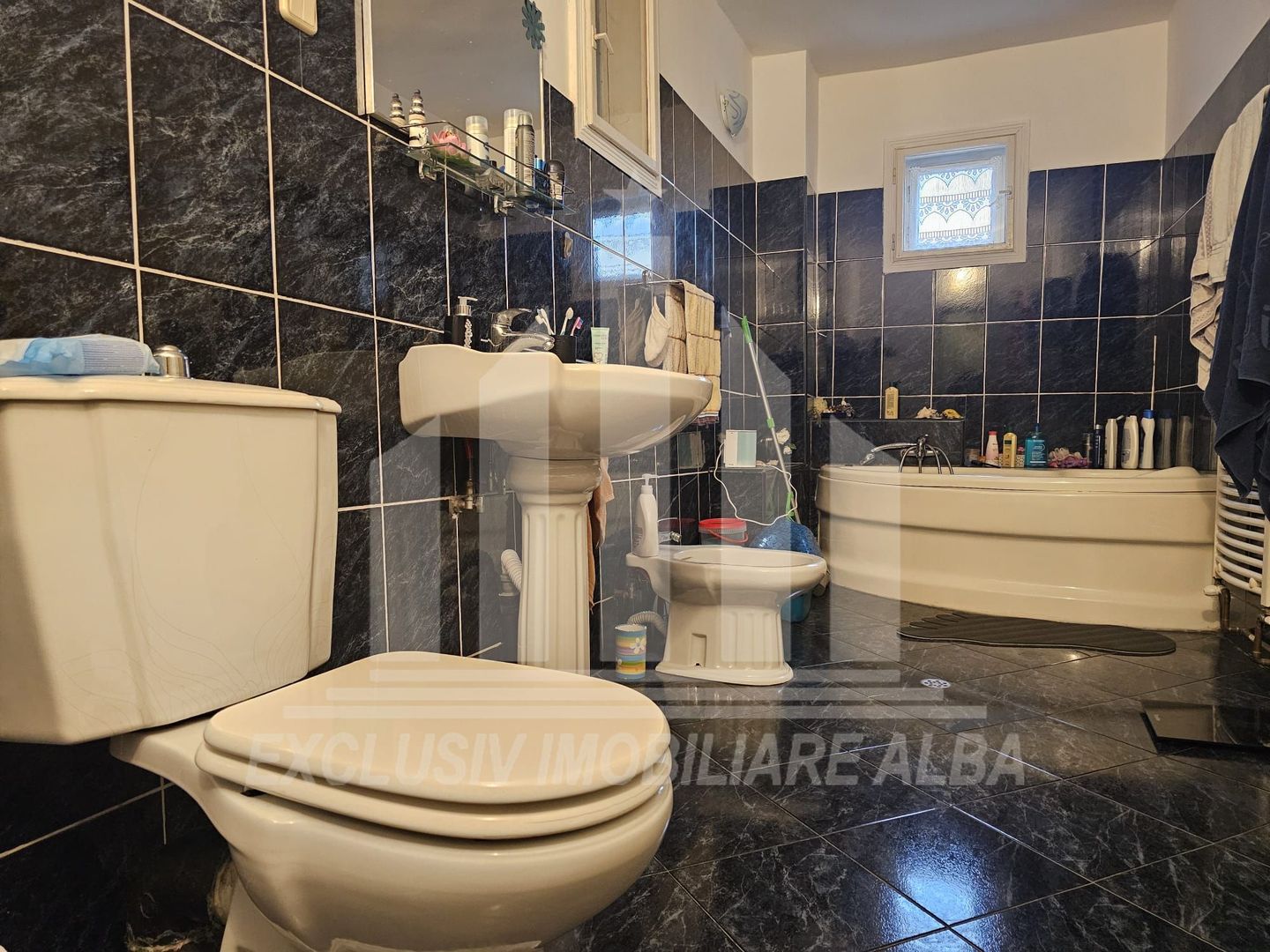 Casa individuala de vanzare, Cetate - Poză 8