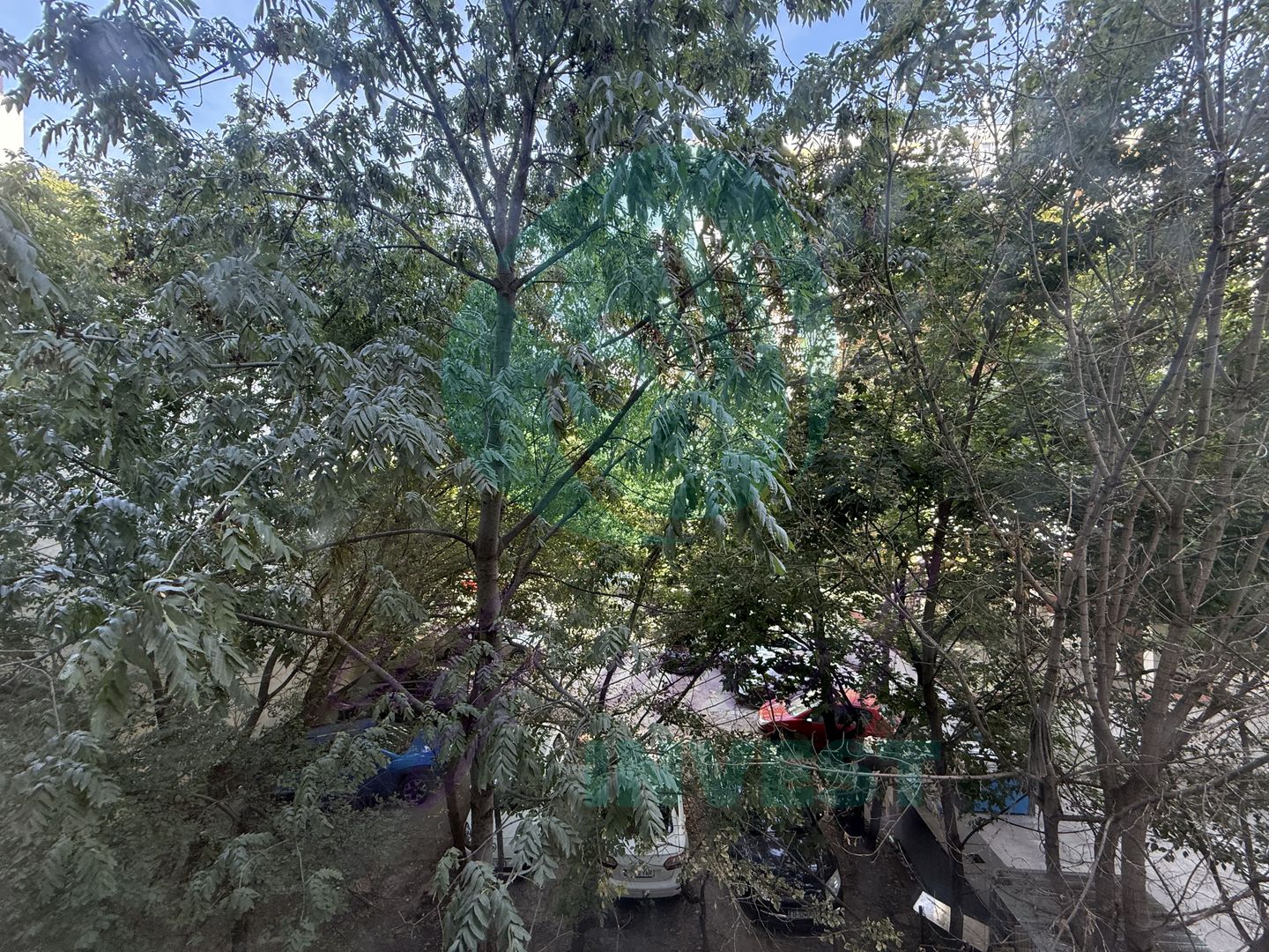 3 camere Vatra Luminoasa etajul 2 - Poză 13