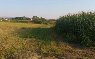 Teren 5500 mp-oportunitate investitie-pretabil cabana-Jelna - Poză 4