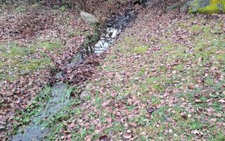 Teren deosebit pozitionat, cu livada, langa padure,  pe Valea Avrigului - Poză 3