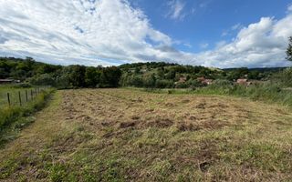 Teren intravilan 1750 mp | Hamba, Sibiu | utilități pe teren - Poză 2