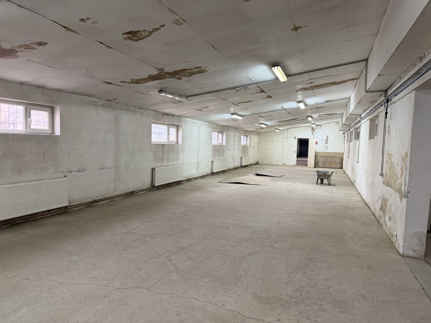 Hală industrială cu poziționare strategică în Giarmata - Poză 15