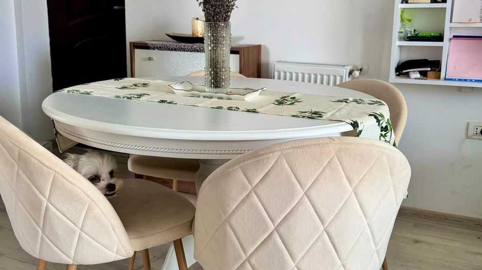 Calea Urseni | 2 Camere | etaj 2 | Mobilat si Utilat - Poză 5