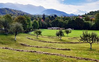 Teren superb de 16240mp, parcelabil, in Bran la intrare in Moeciu de Jos - Poză 3